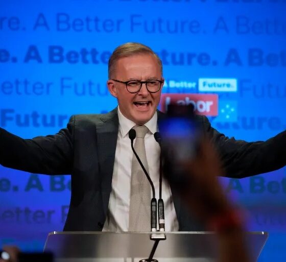 WhatsApp Image 2024 09 11 at 17.39.19