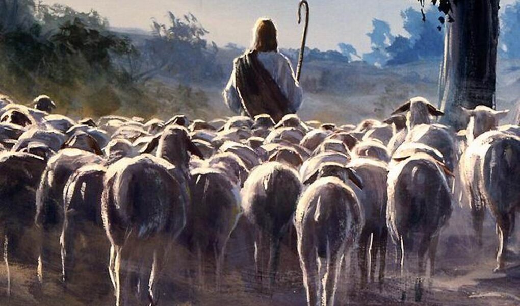 bom pastor