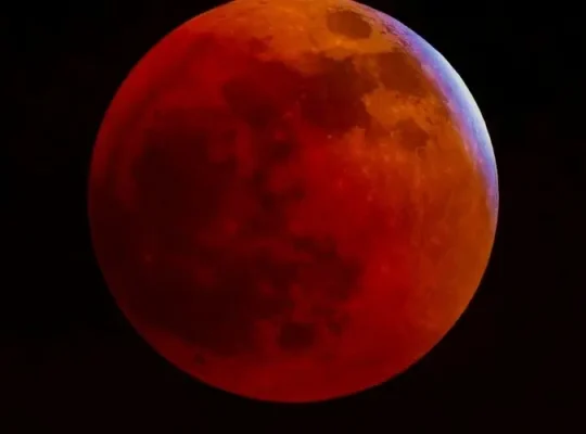 572837545 lua de sangue