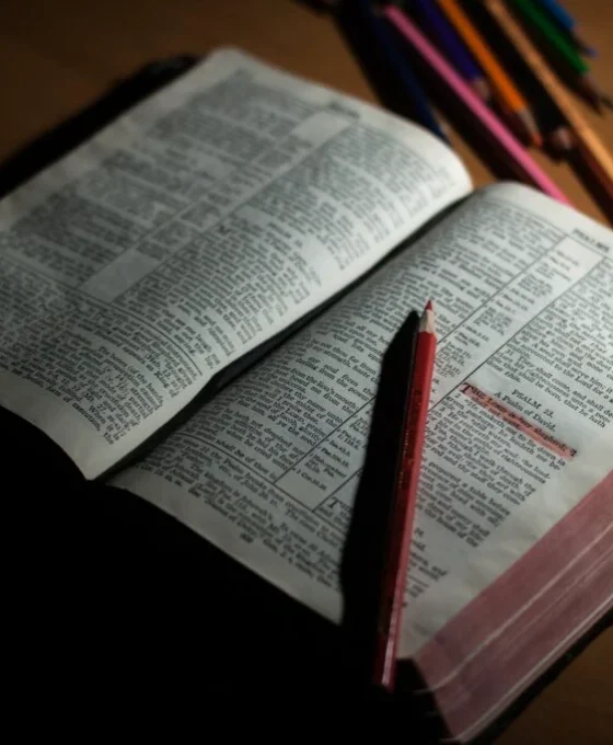 pexels johnmark smith 272337 1024x682 1