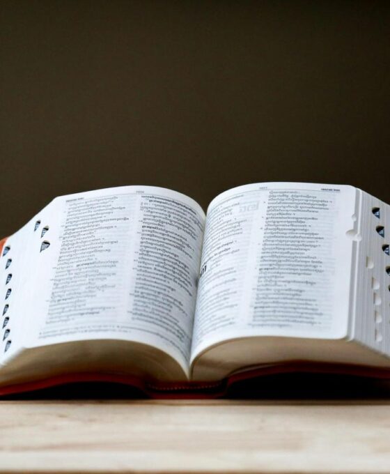 WhatsApp Image 2025 12 08 at 19.05.02